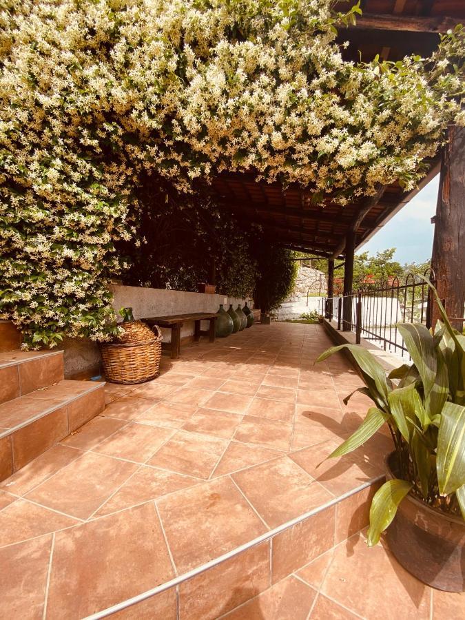 Bed & Breakfast Spigolatrice Sapri Exterior foto